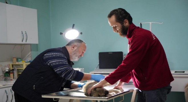 Uzun yol şoföründen örnek duyarlılık