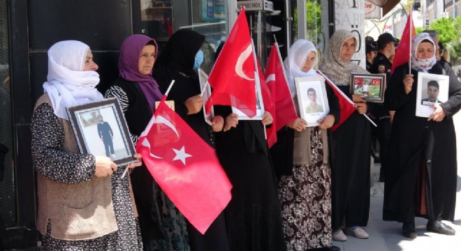 Vanlı ailelerin evlat nöbeti 58'nci haftasında