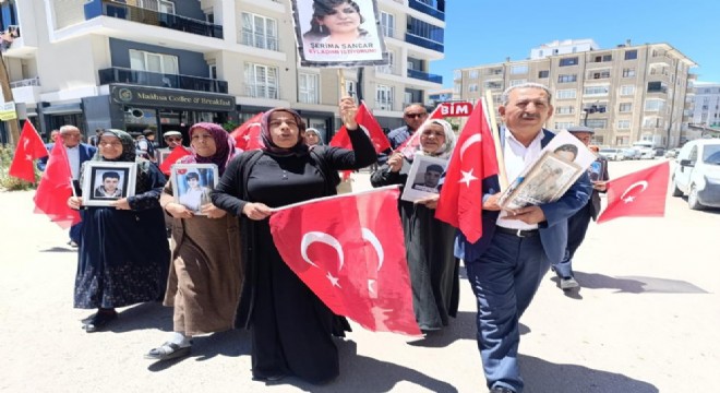 Vanlı ailelerin evlat nöbeti 81'inci haftasında