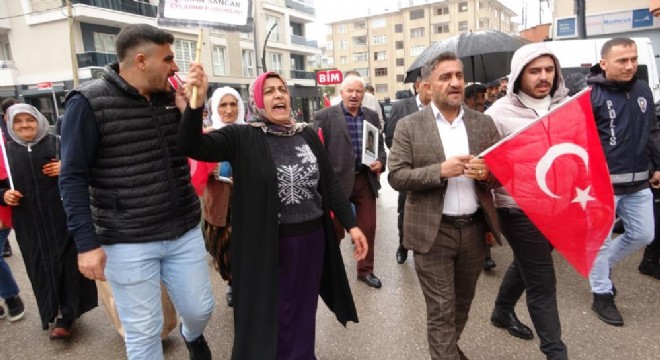 Vanlı ailelerin evlat nöbeti 89'uncu haftada