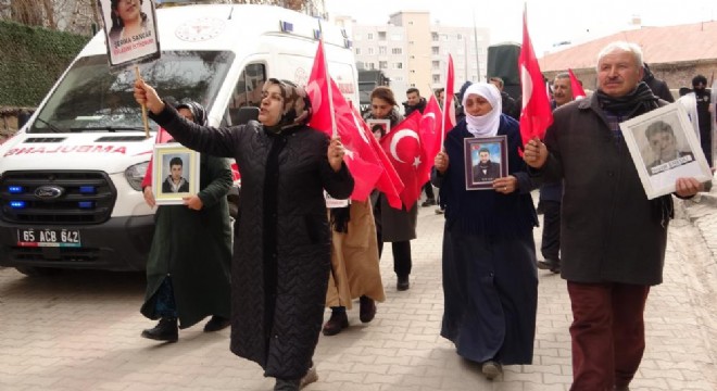 Vanlı ailelerin evlat nöbeti 96'ncı haftasında