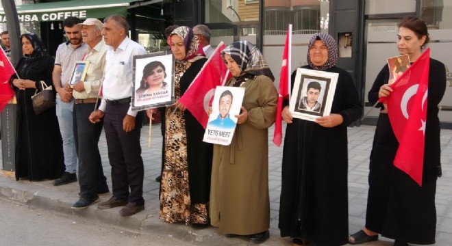 Vanlı annelerin evlat nöbeti 85'inci haftasında
