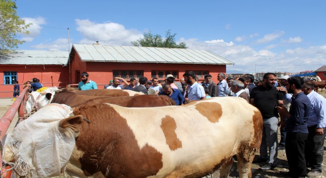 Vatandaş fiyatların düşmesini bekliyor