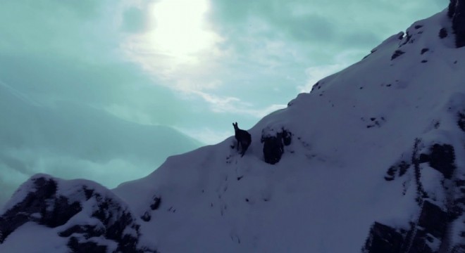 Verçenik'te büyüleyici doğal yaşam