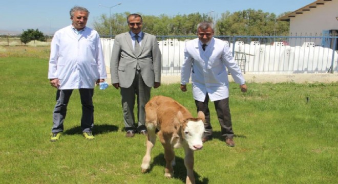 Veteriner Fakültesi projesinde başarı