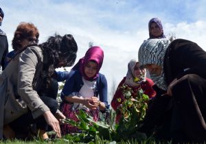 Yakutiye'de Hıdırellez coşkusu yaşandı