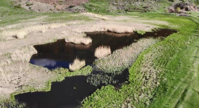 ‘Yüzen Adalar' göz kamaştırıyor