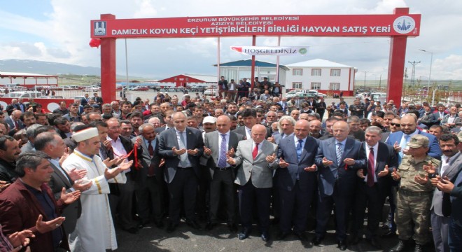 ZMO'dan hayvan pazarları değerlendirmesi