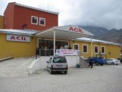 Arılar hastanelik etti