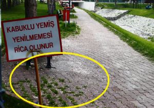 Ne üniversiteye, ne de üniversiteliye yakışıyor..!