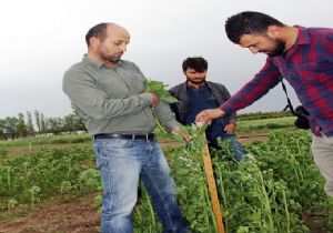 Astronotların besini Doğu'dan