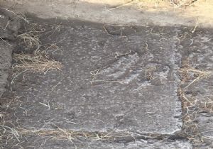 Tarihi değiştiren bulgu