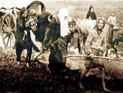 Balkan Felaketimizin Sosyal Röntgeni