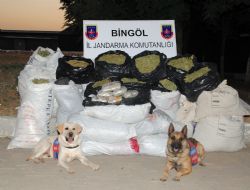 Bin 280 kilo esrar ele geçirildi