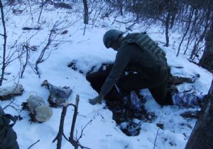 Bingöl'de pkk'ya ağır darbe