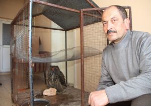 Boş evden Puhu kuşu çıktı