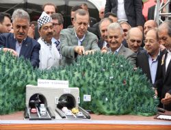 Ovit Yolu: Sevgi Yolu