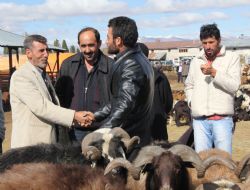 Bu yıl fiyatlar yüksek' mi?