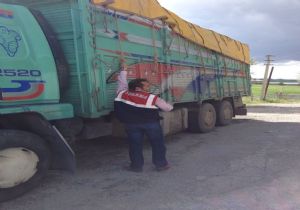 Jandarmadan dev operasyon