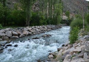 Kamyonet Çoruh Nehri'ne uçtu: 1 yaralı
