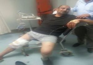 Çat'ta ayı saldırısı: 1 yaralı