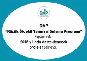 DAP'ta 79 Projeye destek