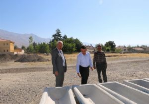 DAP'tan üretim sinerjisi