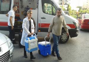 Doğudan Batıya Hayat Köprüsü 
