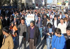 Dadaş Film Festivali başladı