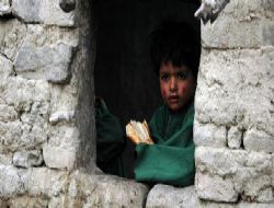 DİB'den aile çözülmelerine çözüm yaklaşımı