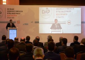 DAP'ta yeni proje
