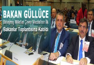 Güllüce, BM Çevre Meclisinde konuştu