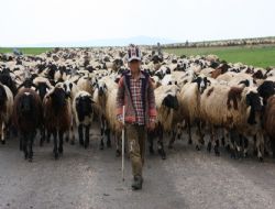Göçerlerin dönüş yolculuğu başladı