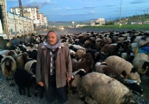 Göçerler Erzurum yolunda