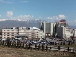 Ağaçtan düştü hastanelik oldu