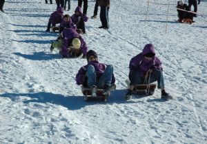 Geleneksel kızaklarla yarıştılar
