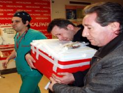 Organlarıyla 3 hayat kurtaracak