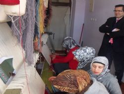 Halıcılıkta eğitim atılımı