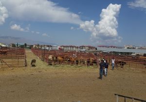 Erzurum, Konya'ya geçildi