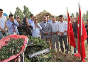 Şehit Babasından milli mesaj
