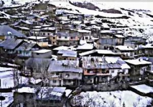 İspir Elmalı'da ilgi çekici olay