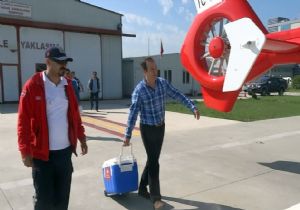 Helikopterle nakil için organ yetiştirdiler
