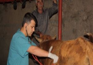 Hınıs'ta örnek tarım hizmeti