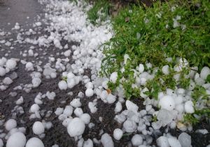Horasan'ı dolu vurdu