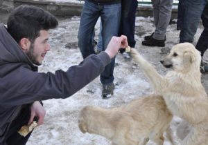 Hayvan Severler Kulübü'nden yardım etkinliği