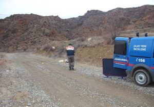 Jandarma hayvan hırsızlarını arıyor