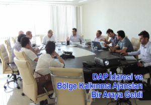 DAP'ta Eylem Planı zirvesi