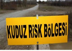 Tomarlı'da kuduz karantinası