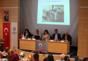 Türk Kültür Dünyası'nda Dede Korkut Gündemi