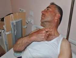 Hayvan otlatırken kene ısırdı